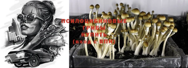 круглые Богородицк
