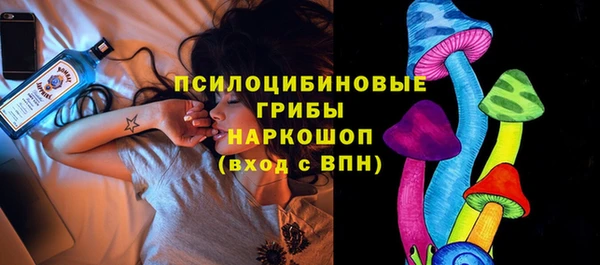 прущая мука Богородск