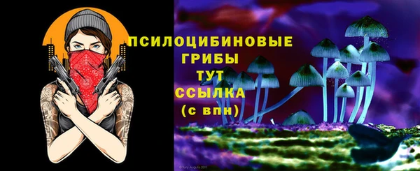 тгк Богданович